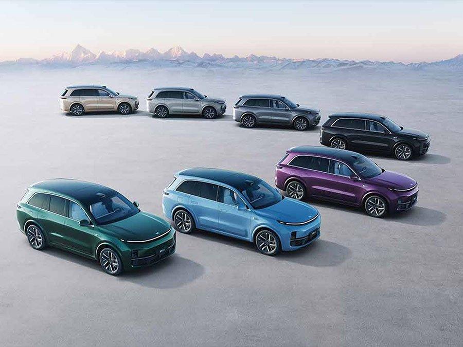 Marketplace part: long-read Category Lixiang